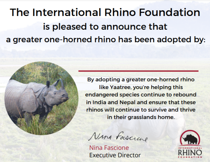 2013 International Rhino Foundation Annual Report by International Rhino  Foundation - Issuu